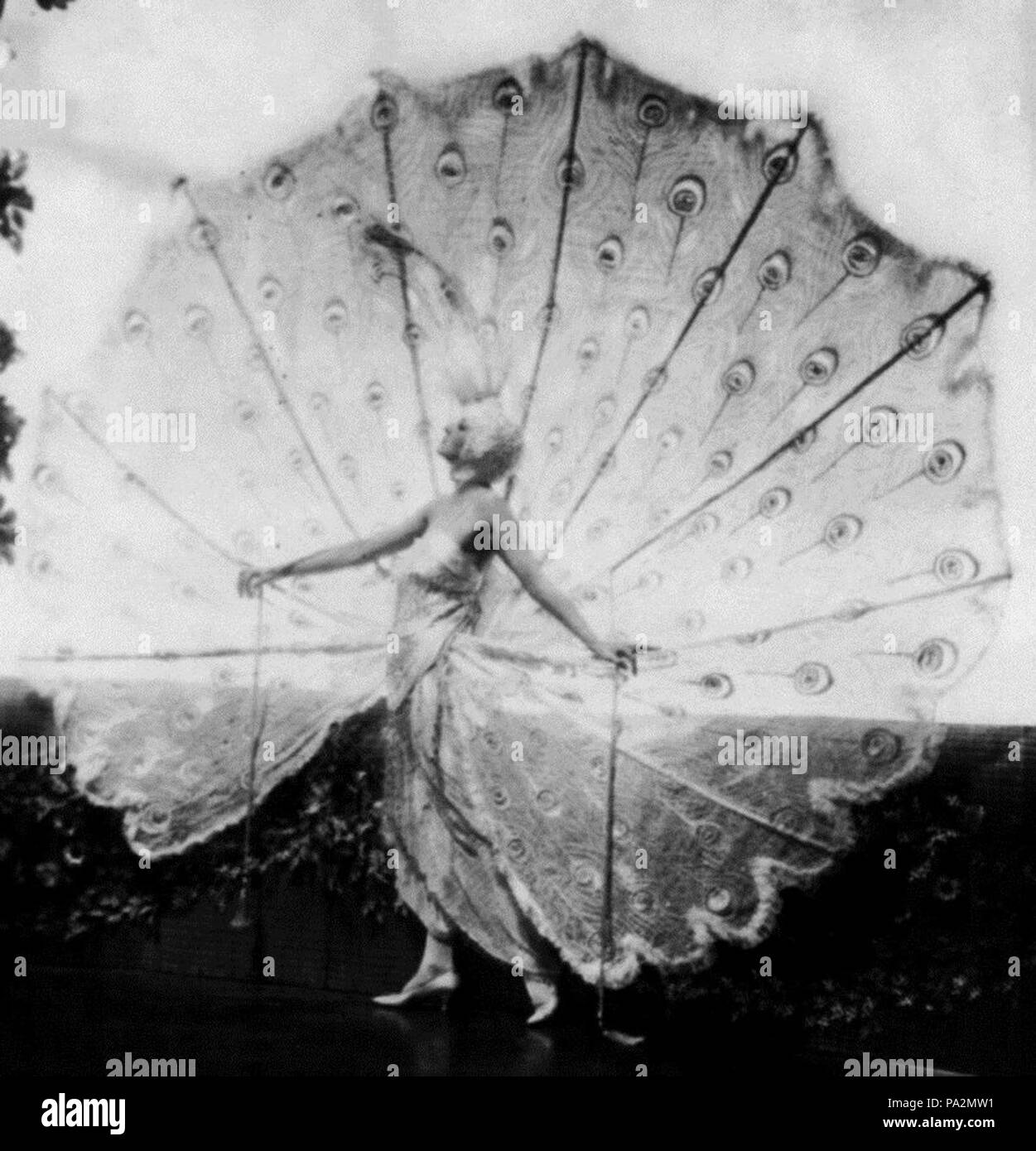 583 Dolores peacock (ritagliate) Foto Stock