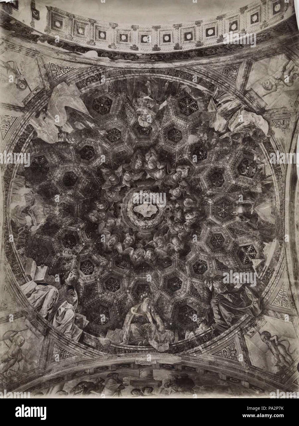 171 Melozzo e Marco Palmezzano, soffitto della cappella feo Foto Stock