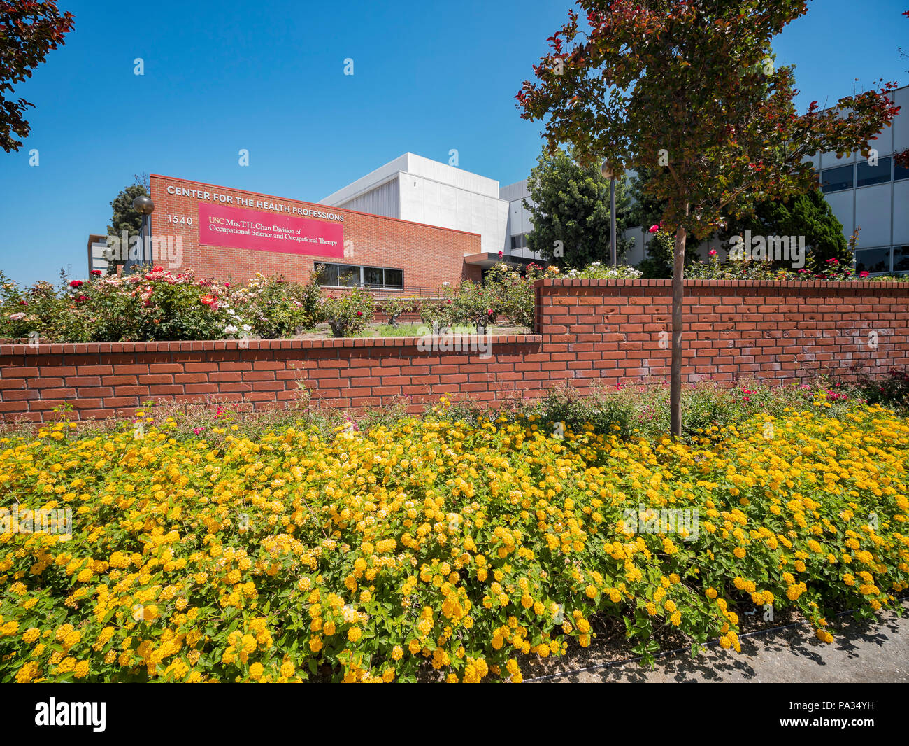 Los Angels, giu 9: Costruzione della University of Southern California Health Sciences Campus giu 9, 2018 a Los Angeles in California Foto Stock