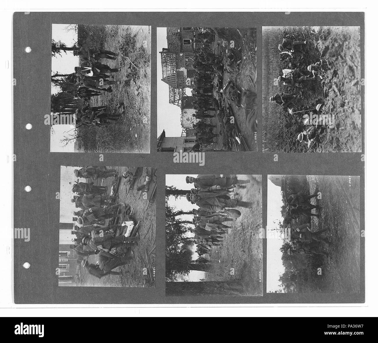 275 canadese guerra ufficiale fotografie (BL l.r.233.b.57.v4 f003r) originale Foto Stock