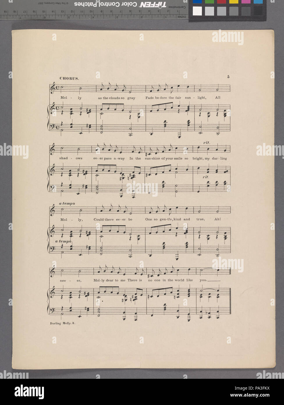 372 Darling Molly (NYPL ADE-608828-1957549) Foto Stock
