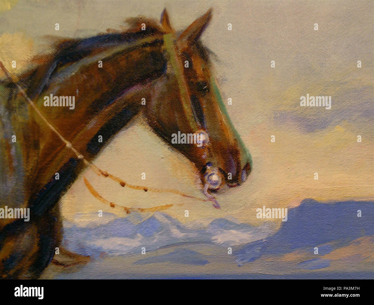 326 CMR cavallo di amici Foto Stock