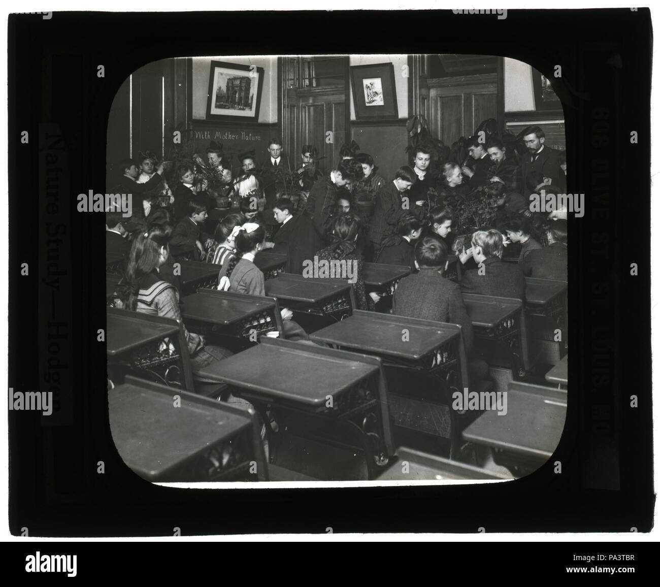 607 museo educativo lantern slide - lo studio della natura- Hodgen Foto Stock