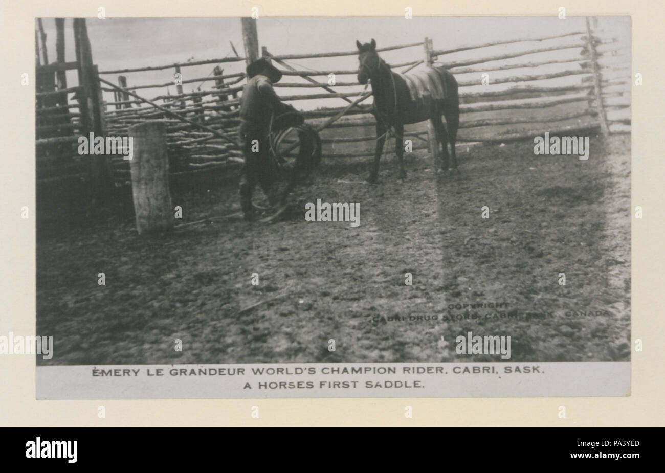 618 Emery Le Grandeur, mondiali di champion rider, Cabri, Saskatchewan, un cavallo la prima sella (HS85-10-33342) originale Foto Stock