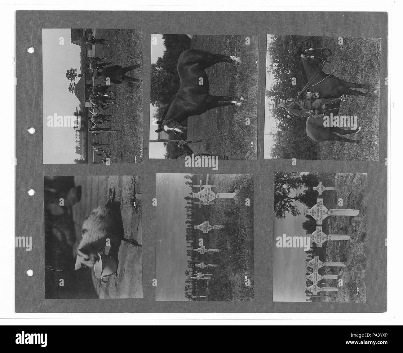 273 canadese guerra ufficiale fotografie (BL l.r.233.b.57.v1 f024r) originale Foto Stock