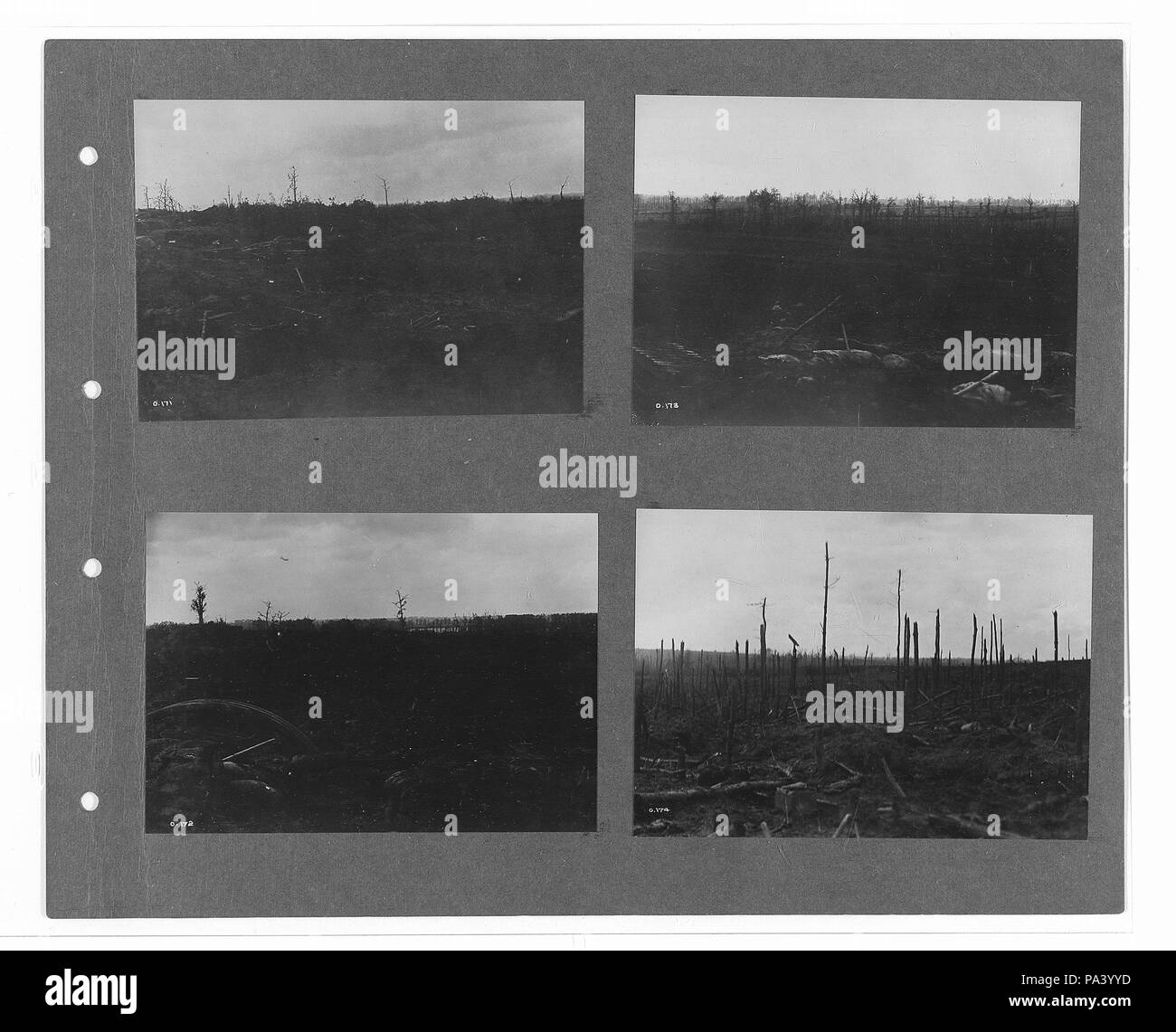 273 canadese guerra ufficiale fotografie (BL l.r.233.b.57.v1 f036r) originale Foto Stock