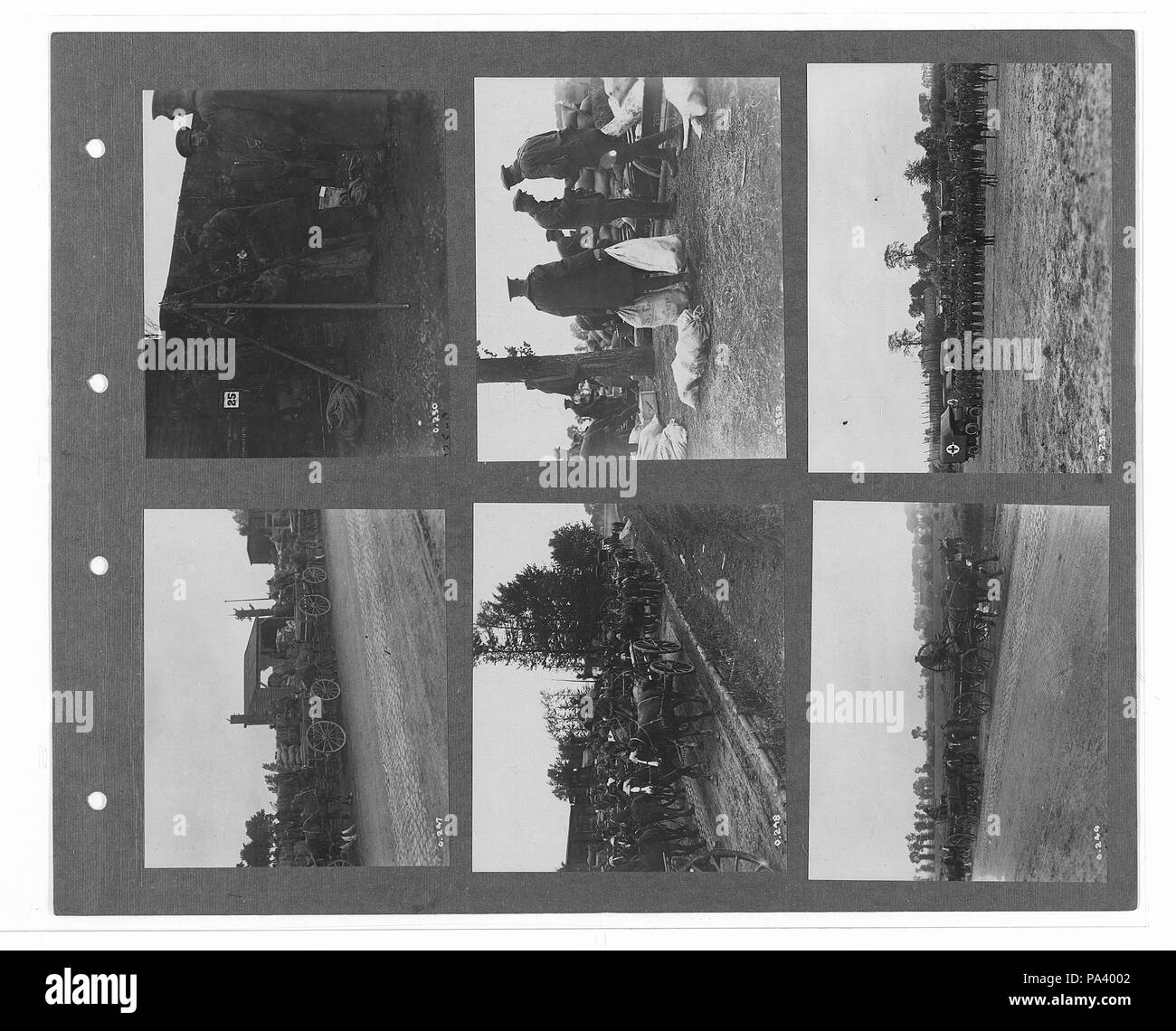 273 canadese guerra ufficiale fotografie (BL l.r.233.b.57.v1 f048r) originale Foto Stock