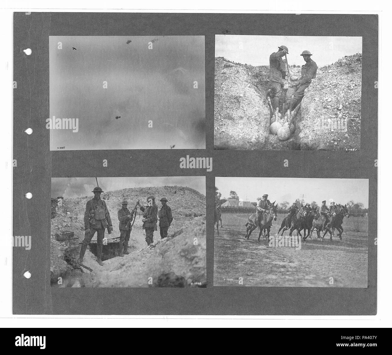 274 canadese guerra ufficiale fotografie (BL l.r.233.b.57.v3 f031r) originale Foto Stock