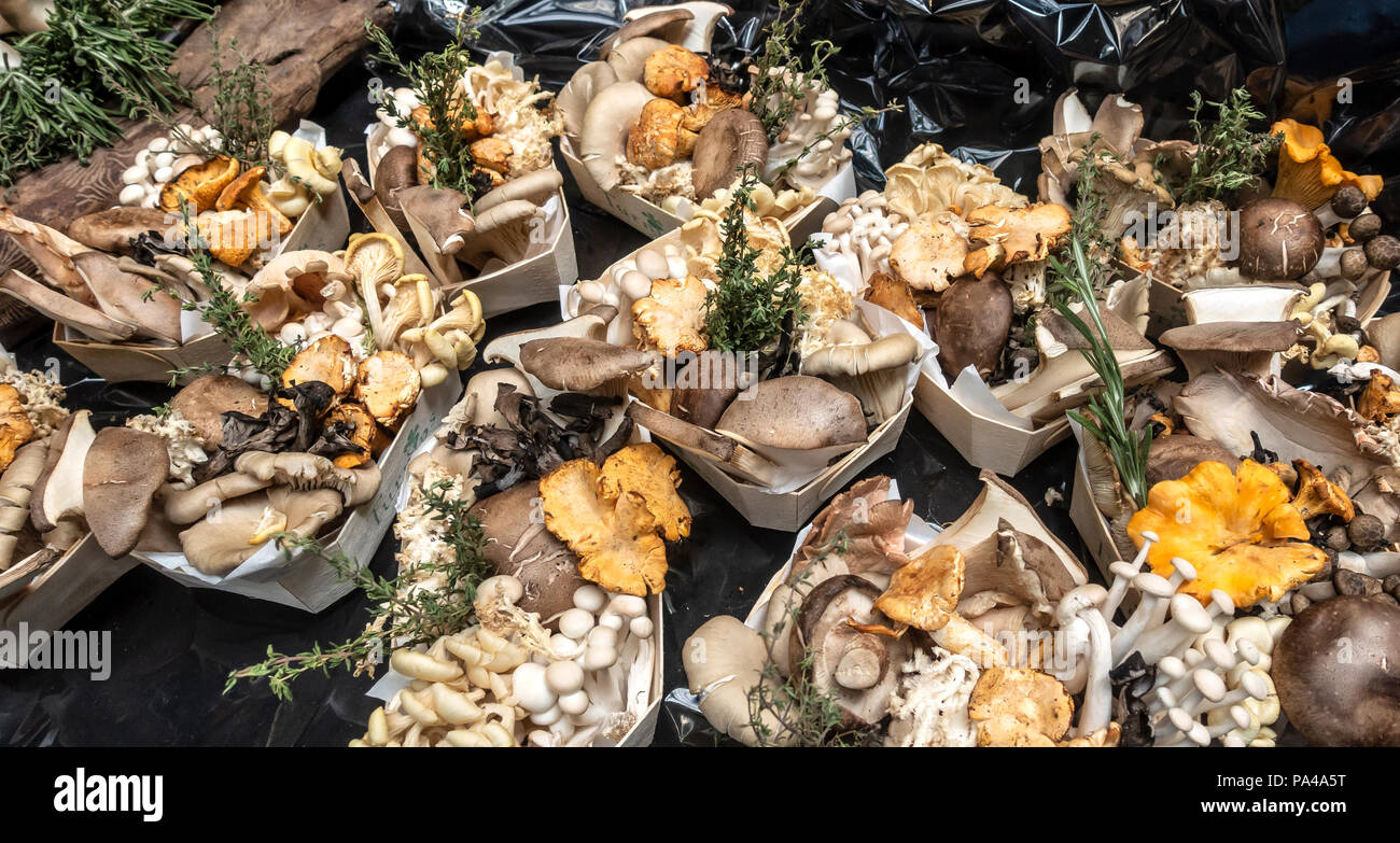 Punnets di funghi misti e le erbe pronto per la vendita nel mercato di Borough, London il famoso e storico mercato alimentare a Southwark. Foto Stock