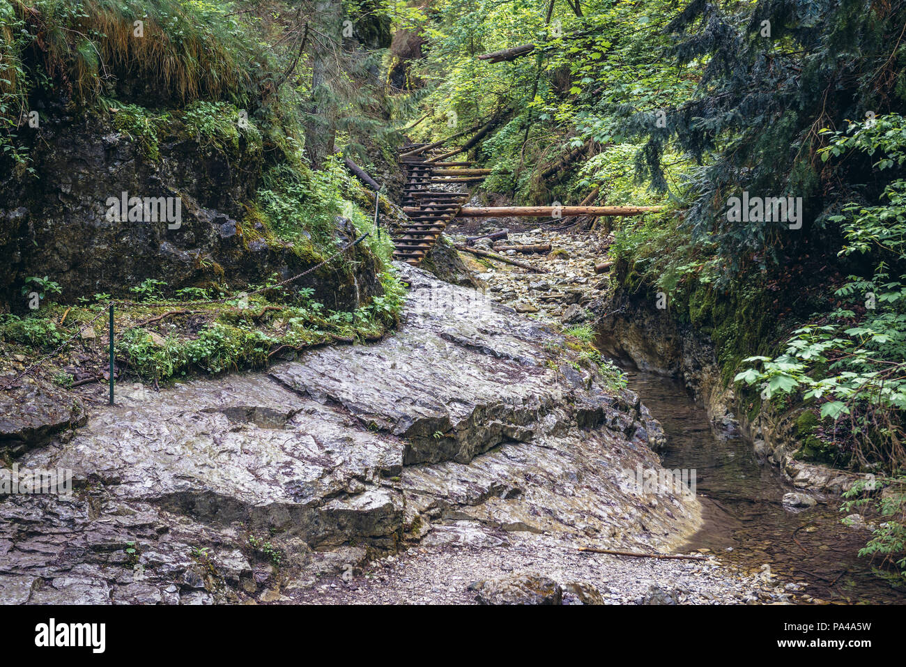 L'inizio del famoso sentiero in Sucha Bela canyon in Paradiso Slovacco National Park, parte nord della slovacca Monti Metalliferi in Slovacchia Foto Stock