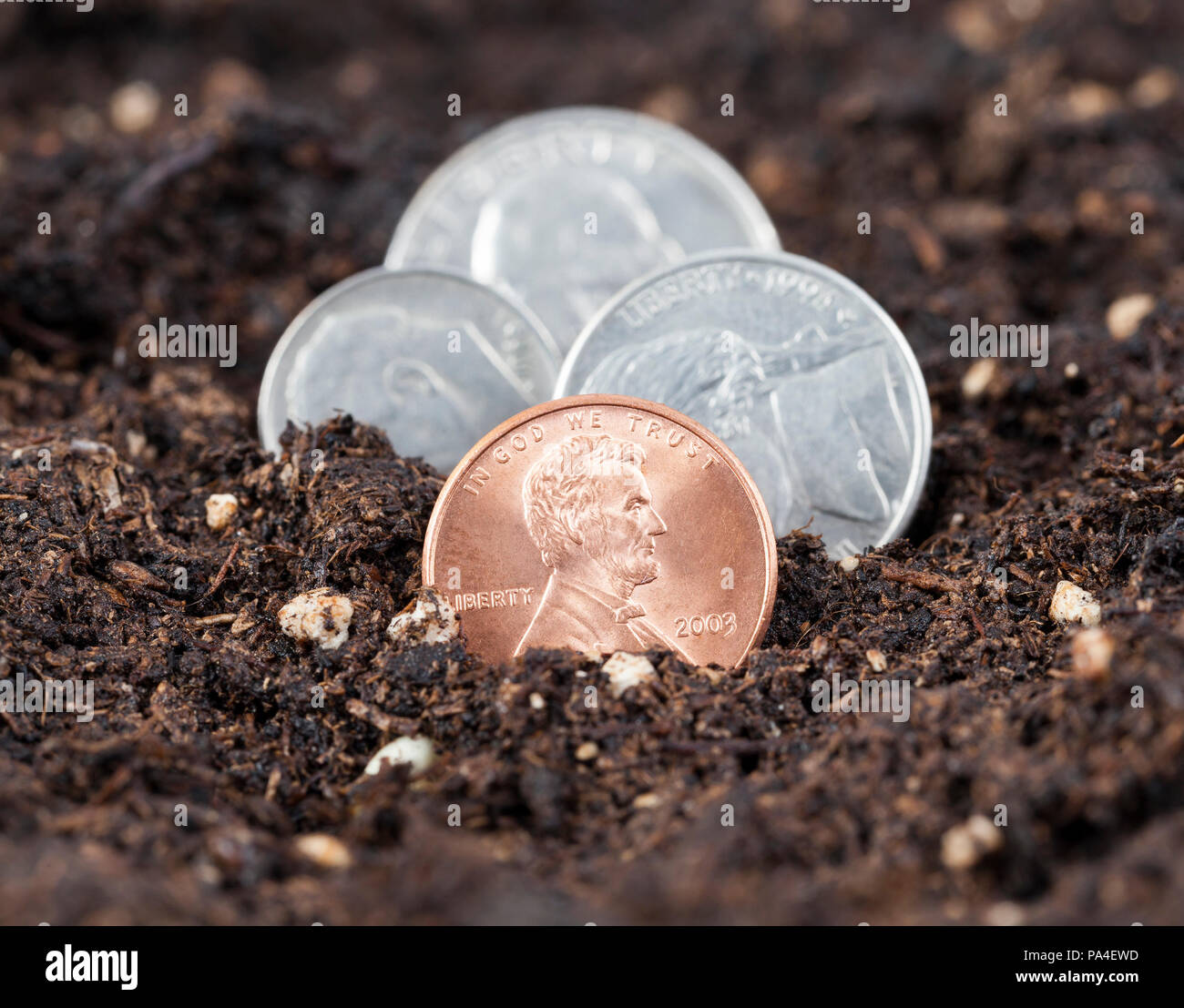 Crescente dalla terra monete americano uno, cinque, dieci e venti-cinque - un quarto di dollaro, giacente uno dopo l'altro, la messa a fuoco su un centesimo, il resto sono Foto Stock