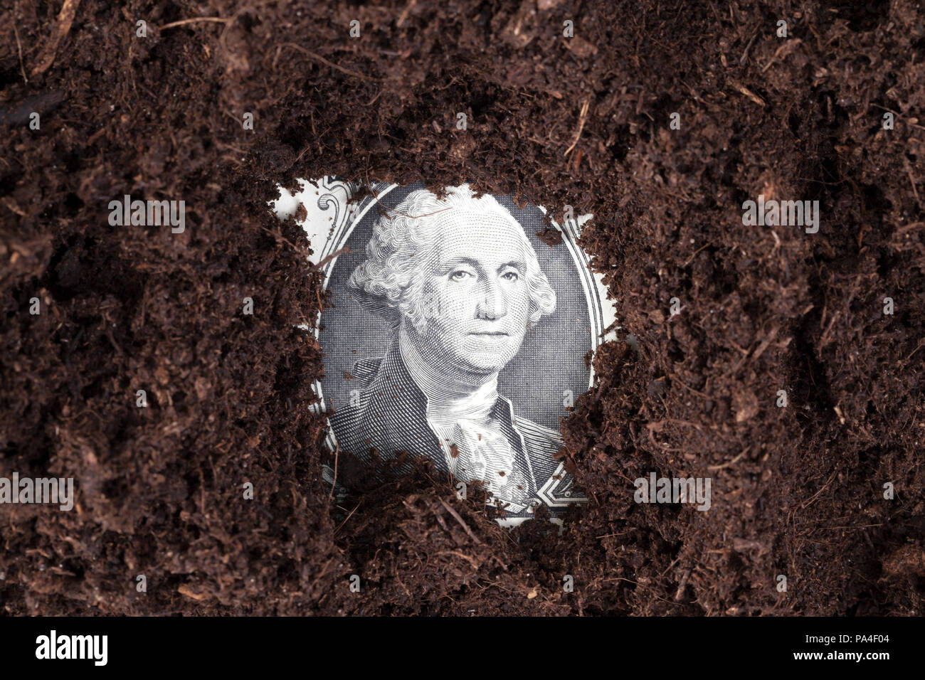 Un dollaro statunitense scavati nel suolo di colore scuro, attività agricole, primo piano di un ritratto del presidente con le fatture Foto Stock