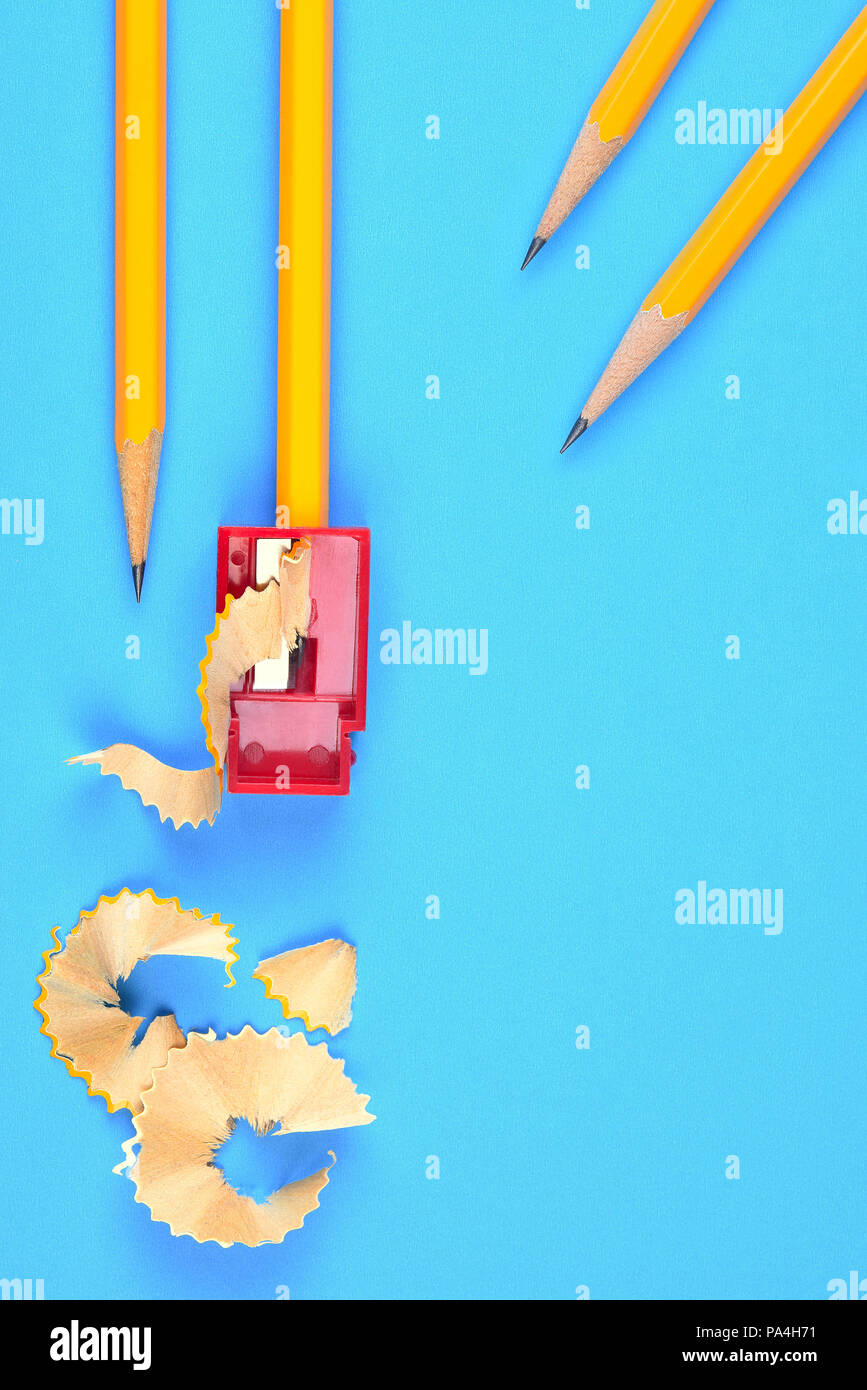 Si torna a scuola il concetto: quattro matite di colore giallo con un temperino e trucioli, su uno sfondo blu. Due matite proveniente da a destra, Copia o spazio Foto Stock