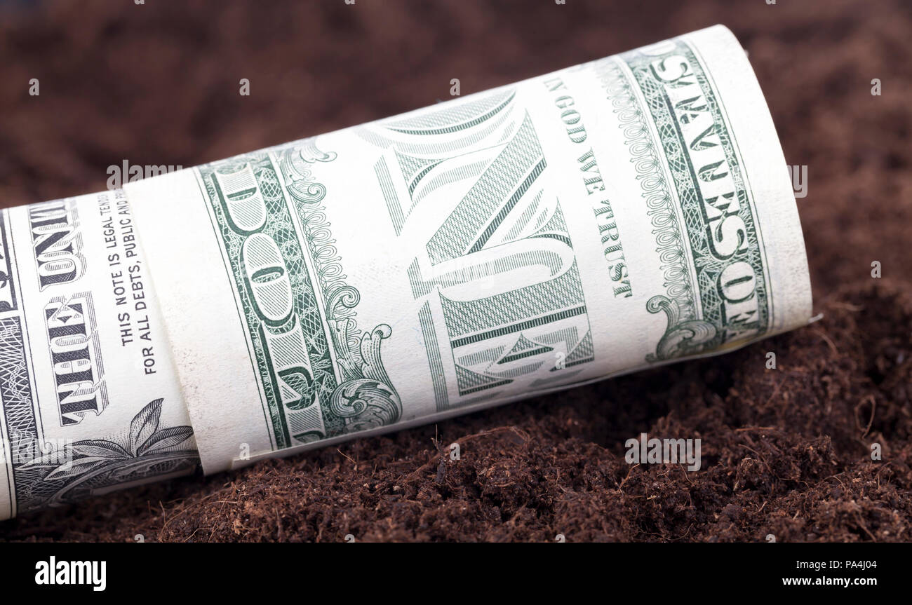 Avvolto da un tubo di dollari americani per un dollaro, giacente sul terreno fertile del campo, close-up in primavera durante la stagione di semina Foto Stock