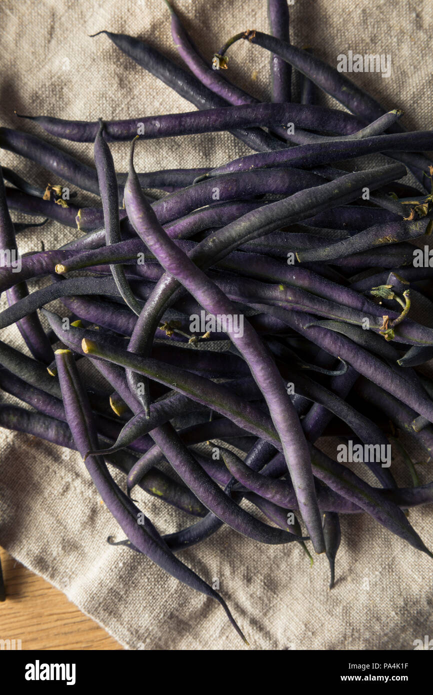 Materie organiche viola i fagiolini pronti per cucinare Foto Stock