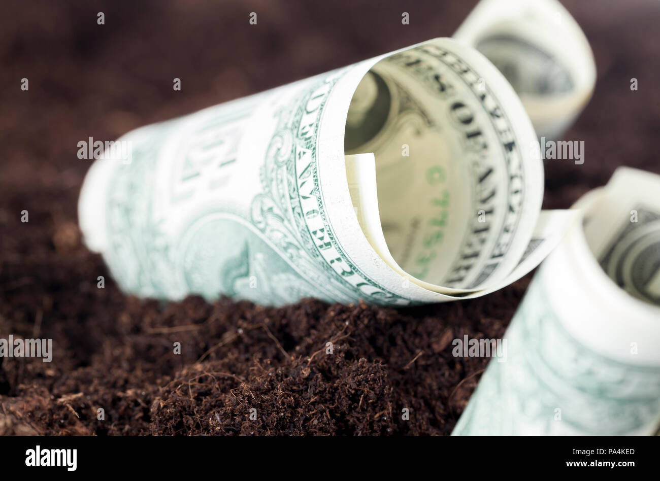 Uno di dollari in contanti fatture piantata in terra fertile, il concetto di business in agricoltura Foto Stock
