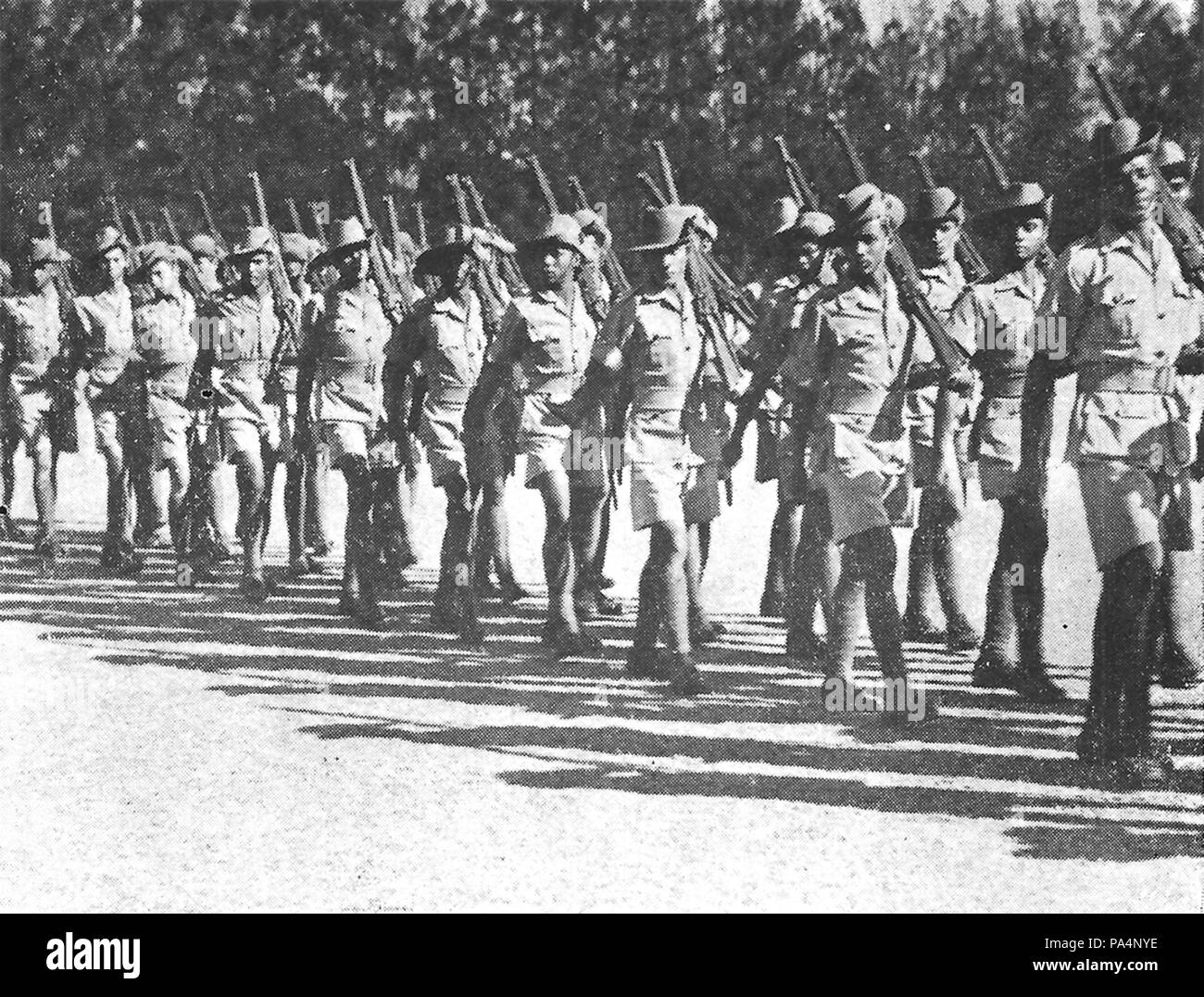 54 colorato trasporto meccanico Coy a Salisbury, 1940 Foto Stock
