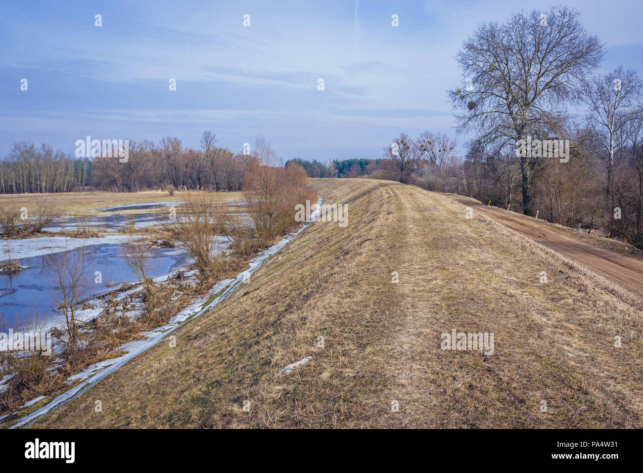 Massa banca del fiume Narew, un affluente di destra del fiume Vistola in all'interno di Legionowo County, Masovian voivodato di Polonia Foto Stock