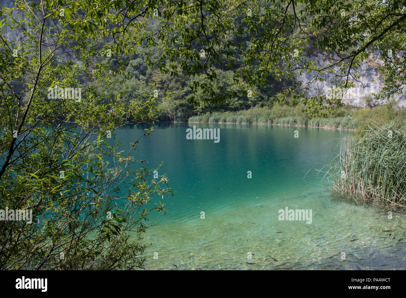 Il parco nazionale di Plitvice - Croazia. Il parco è uno dei più antichi e il parco nazionale più grande in Croazia, parte del Patrimonio Mondiale dell'Unesco. Foto Stock