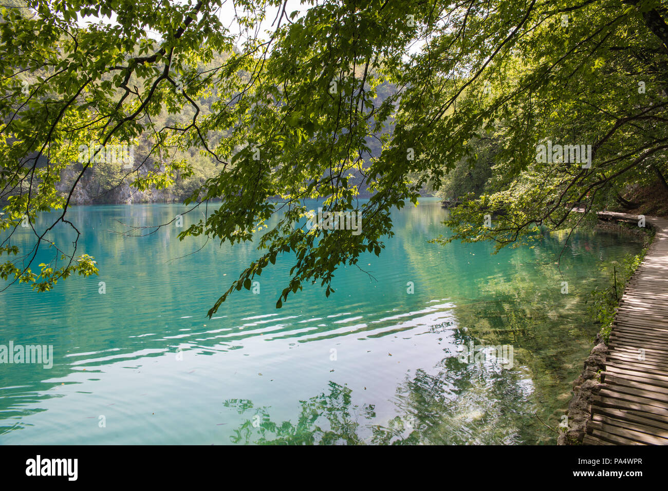 Il parco nazionale di Plitvice - Croazia. Il parco è uno dei più antichi e il parco nazionale più grande in Croazia, parte del Patrimonio Mondiale dell'Unesco. Foto Stock