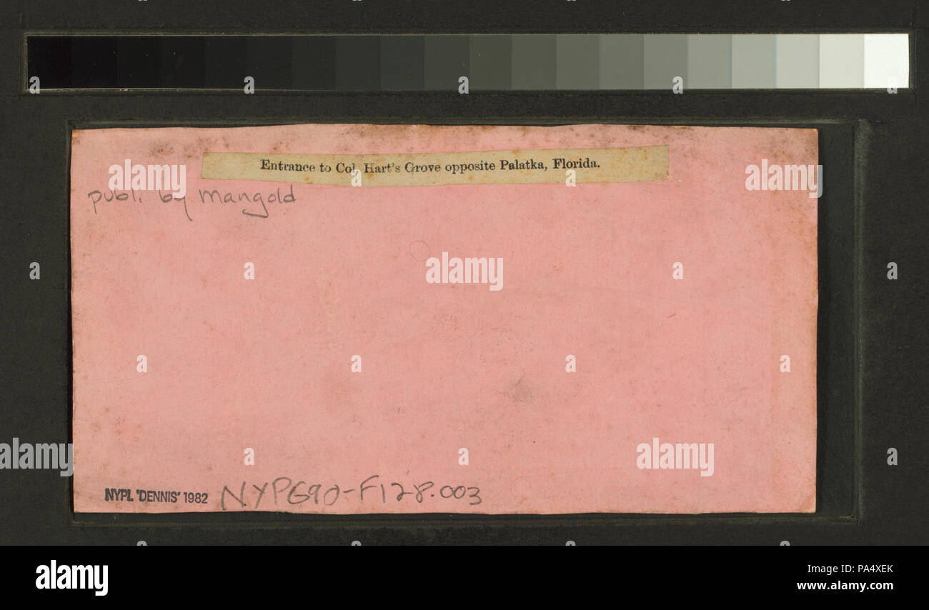 623 Ingresso Col. Hart di Grove opposta a Palatka, Florida (NYPL B11707404-G90F128 003B) Foto Stock