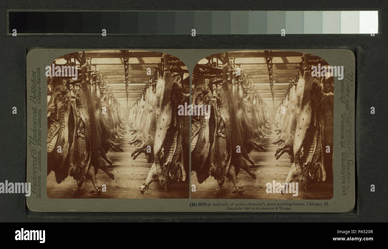 81 un mezzo miglio di carne di maiale, armature della grande casa di imballaggio, Chicago, malato (NYPL B11707454-G90F177 027F) Foto Stock