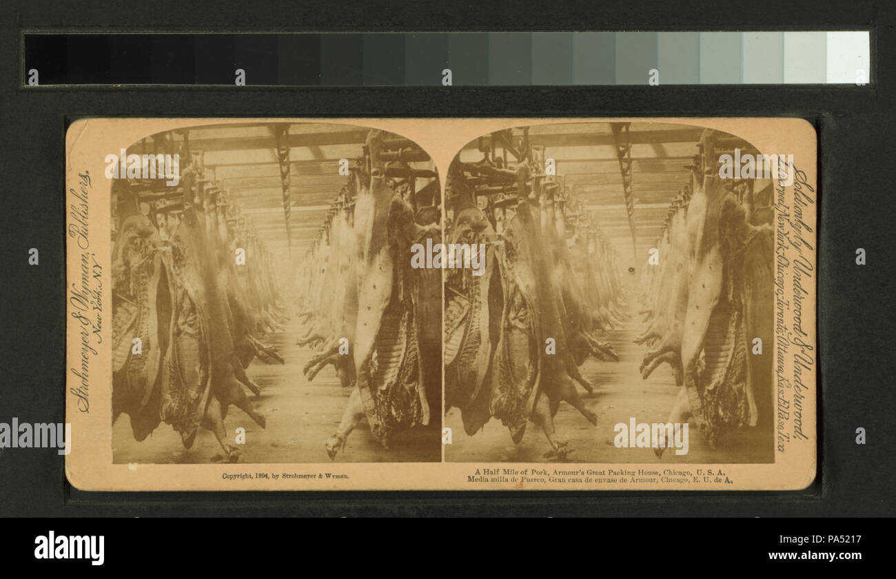 81 un mezzo miglio di carne di maiale, armature della grande casa di imballaggio, Chicago, malato (NYPL B11707454-G90F177 029F) Foto Stock