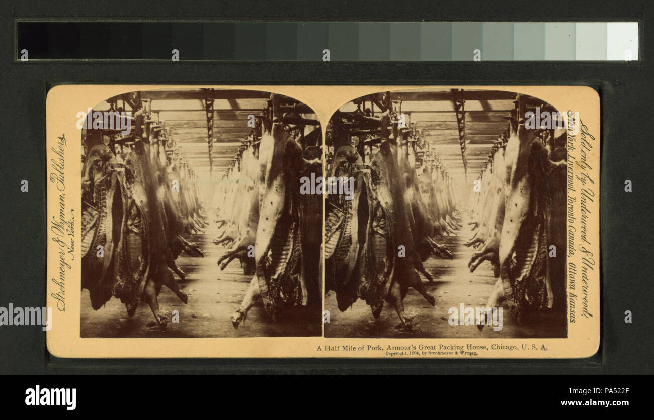 81 un mezzo miglio di carne di maiale, armature della grande casa di imballaggio, Chicago, malato (NYPL B11707454-G90F177 031F) Foto Stock