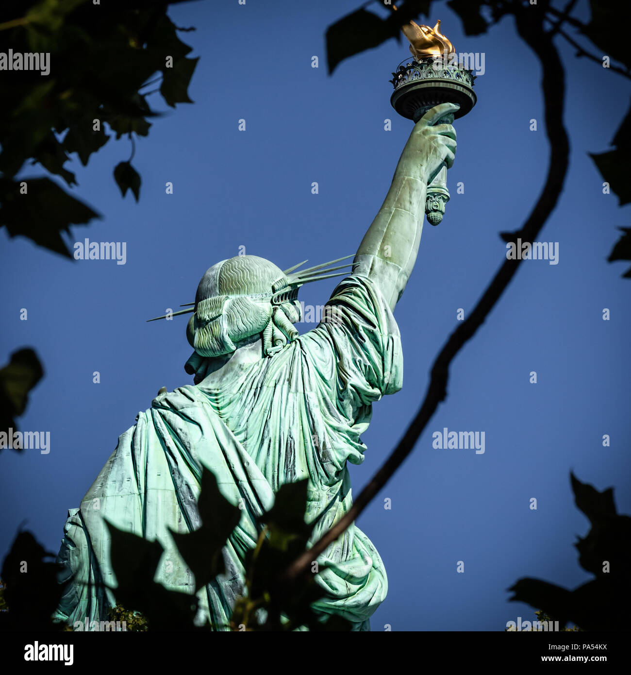 Guardando attraverso gli alberi di Liberty Island presso la Statua della Libertà. Foto Stock