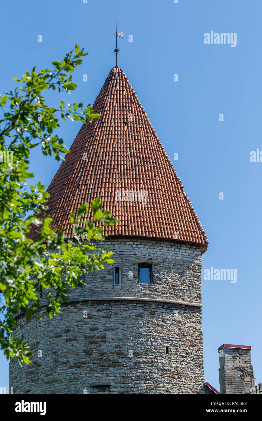 Torri medievali a Tallinn Foto Stock