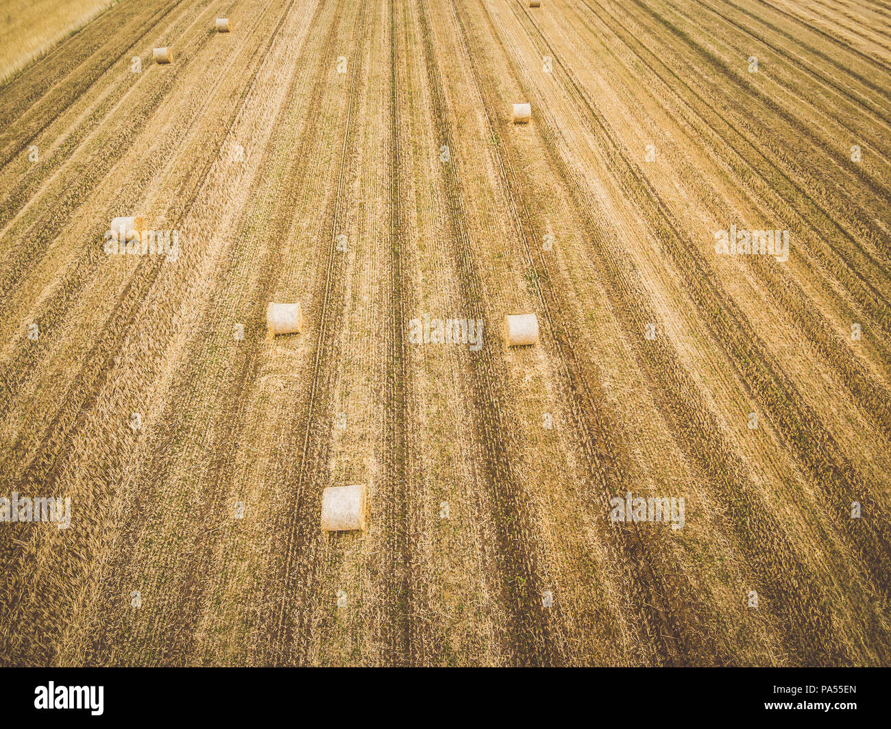 Round balle di fieno sulla stoppia Foto Stock