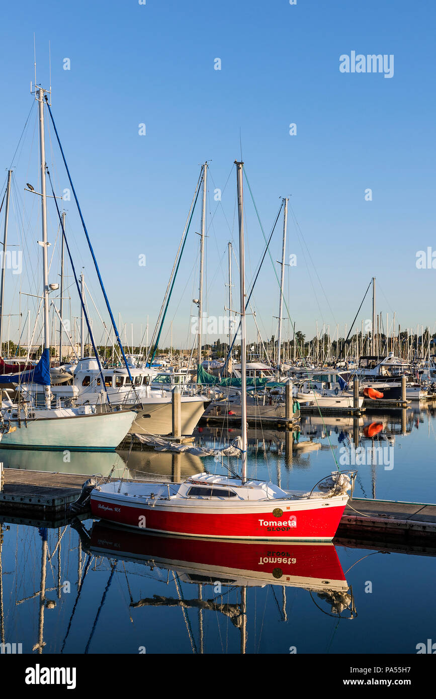 Barche nel porto di Squalicum, Bellingham, nello Stato di Washington, USA. Foto Stock