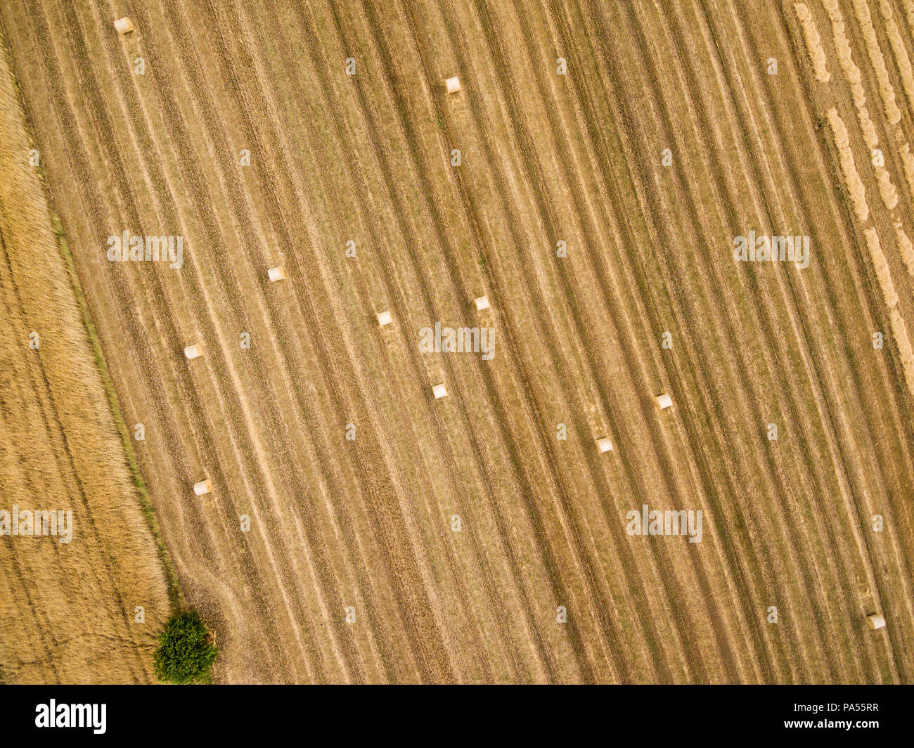 Round balle di fieno sulle stoppie, vista direttamente dal di sopra Foto Stock