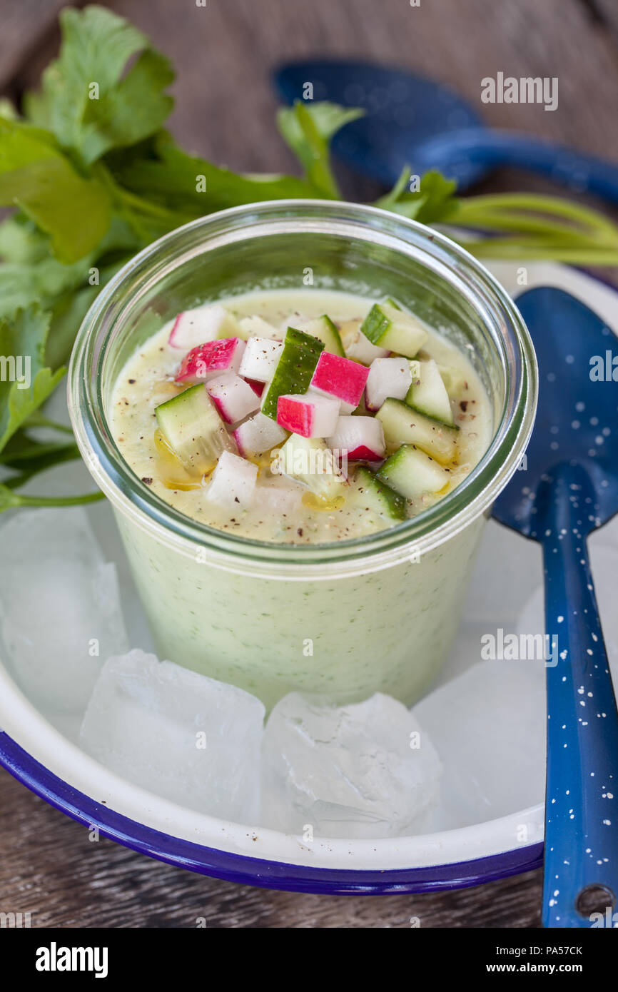 Iced rinfrescante zuppa di cetriolo con rafano fresco e olio di oliva Foto Stock