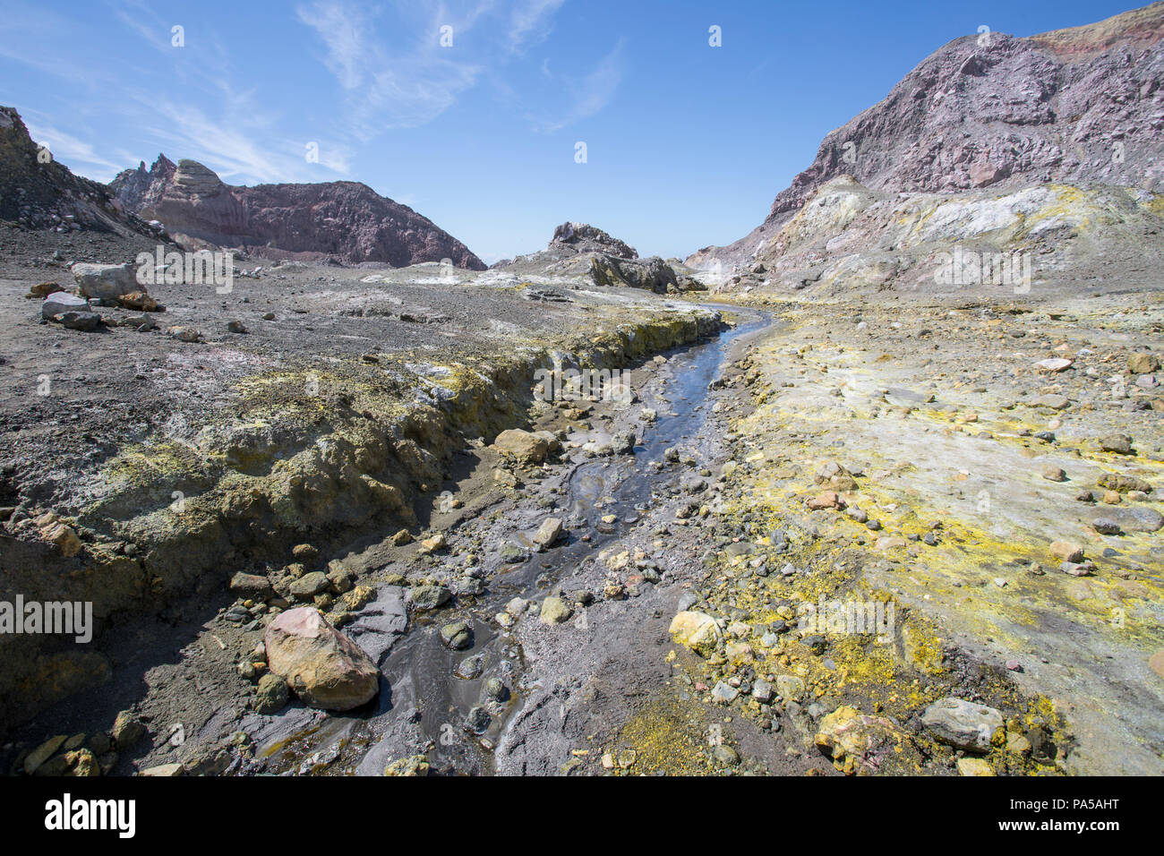Isola Bianca vulcano attivo, Nuova Zelanda Foto Stock