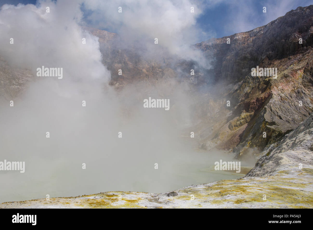 Isola Bianca vulcano attivo, Nuova Zelanda Foto Stock