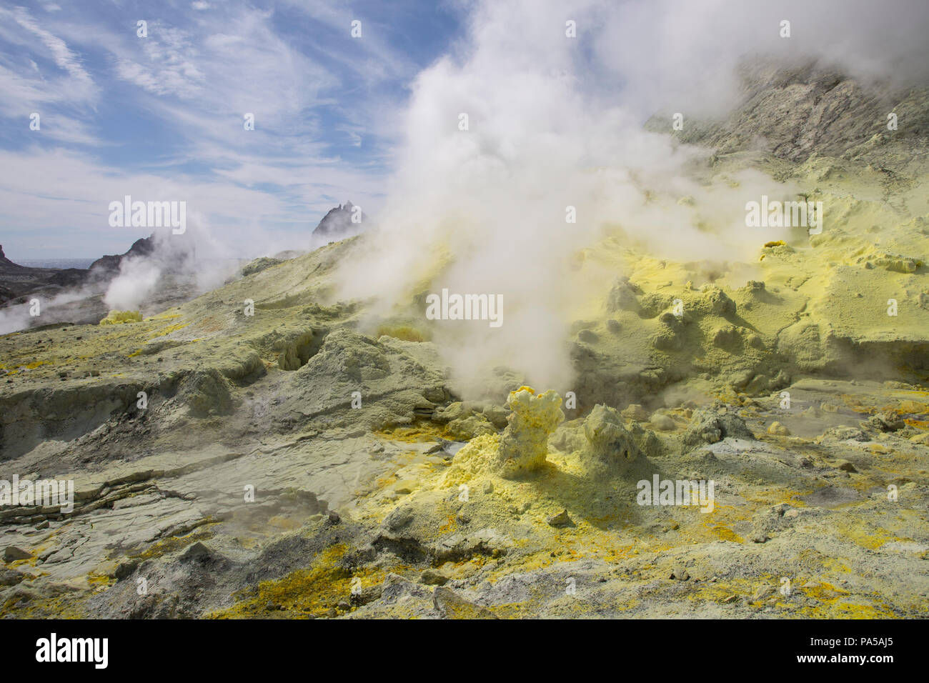 Isola Bianca vulcano attivo, Nuova Zelanda Foto Stock