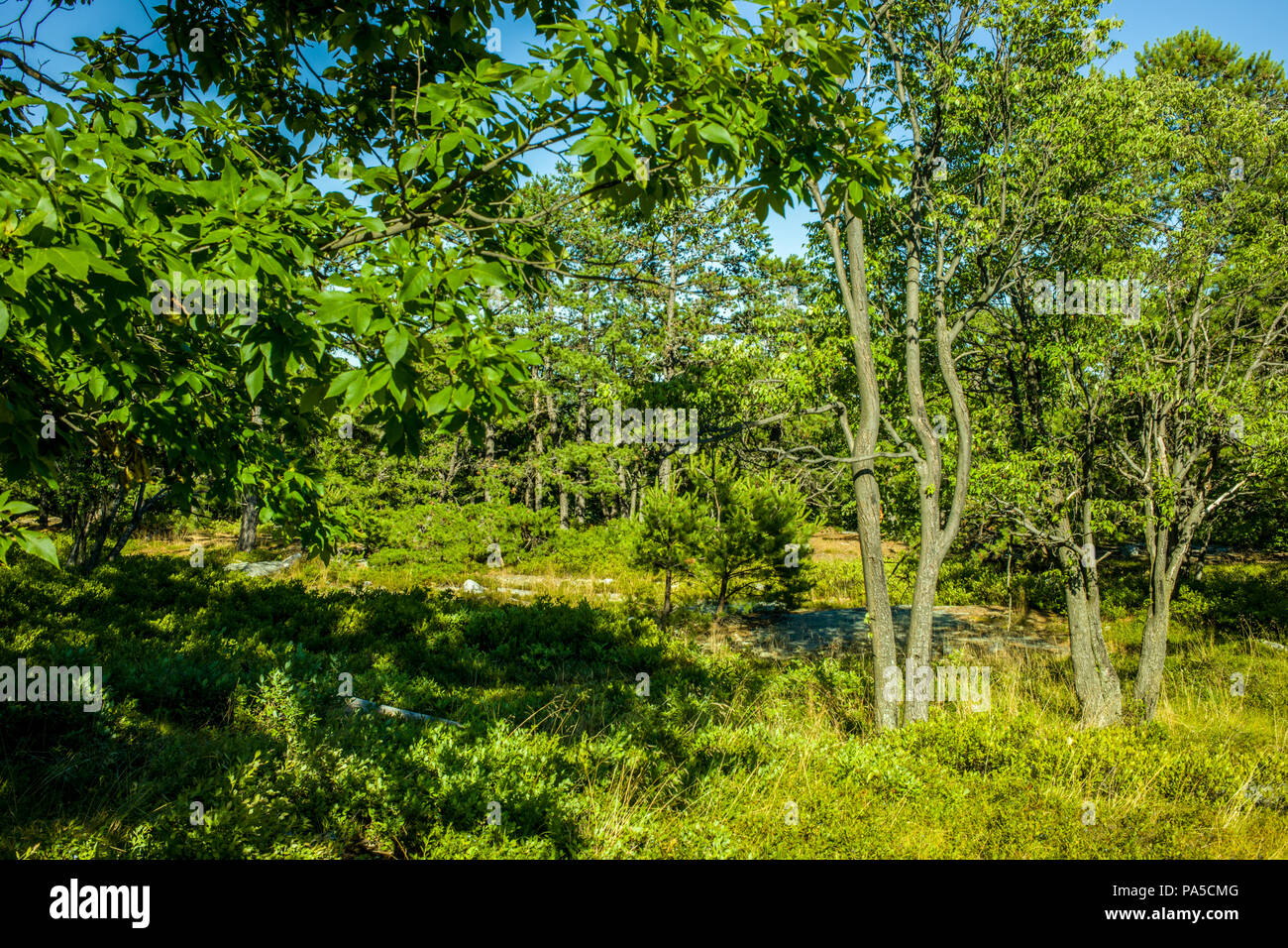 Minnewaska parco dello stato preservare NY Foto Stock