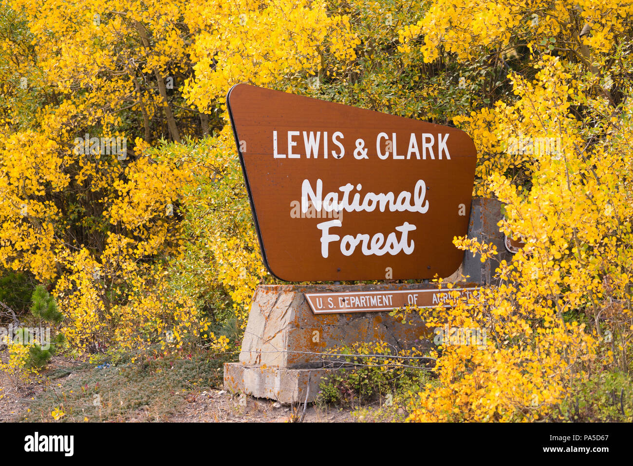 Il segno del marcatore indica l'entrata in terre pubbliche di Lewis e Clark NF in Montana Foto Stock