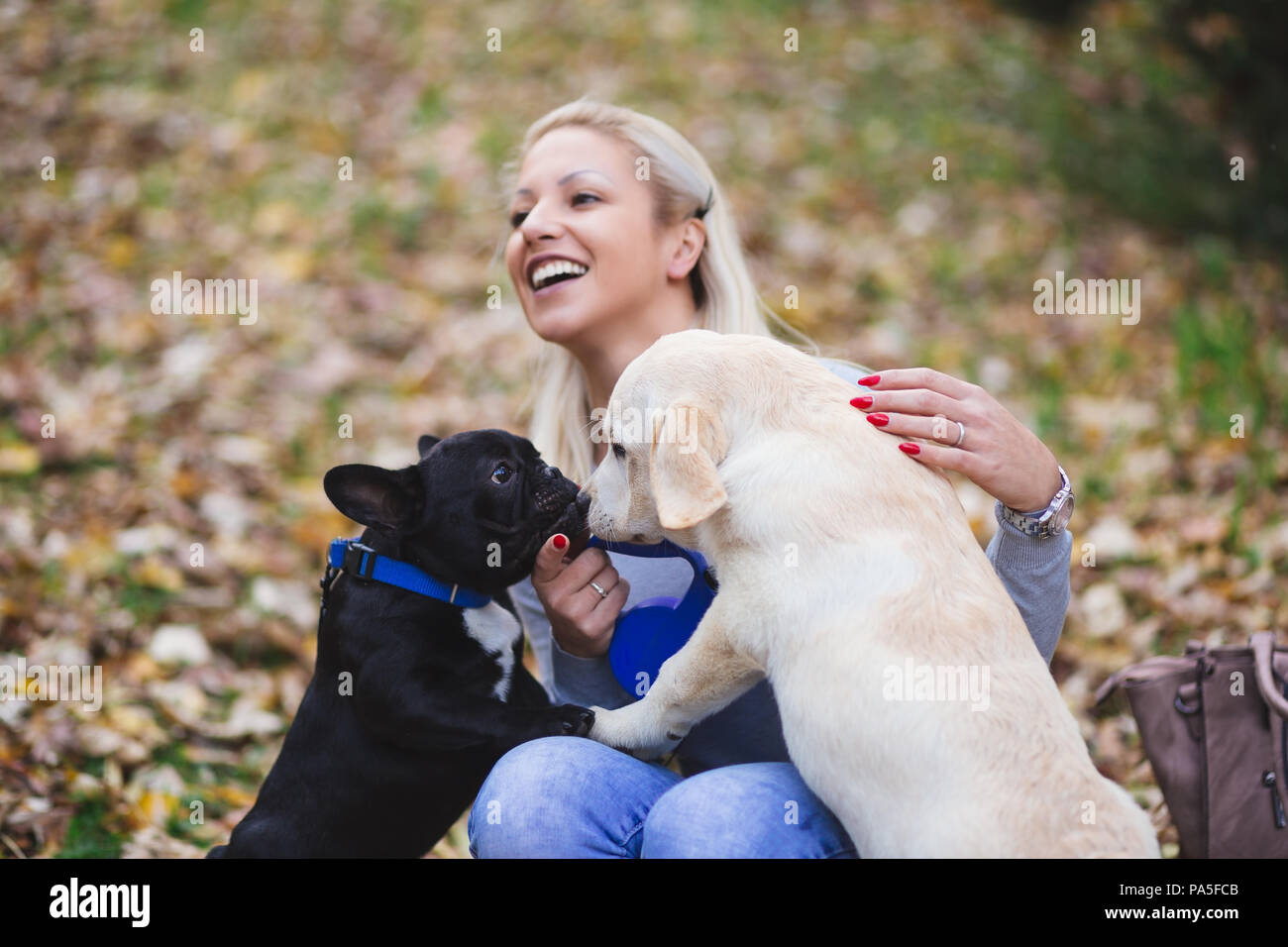 Bella donna bionda giocando con labador retriever e bulldog francese cucciolo nel parco. Foto Stock