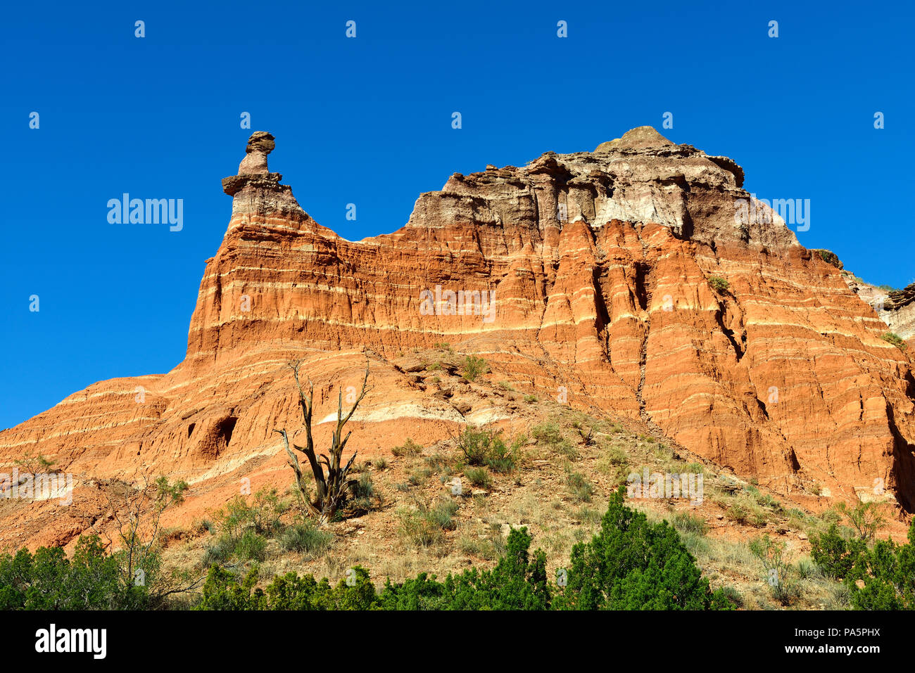 Formazione di roccia, Palo Duro Canyon State Park, Texas, Stati Uniti d'America Foto Stock