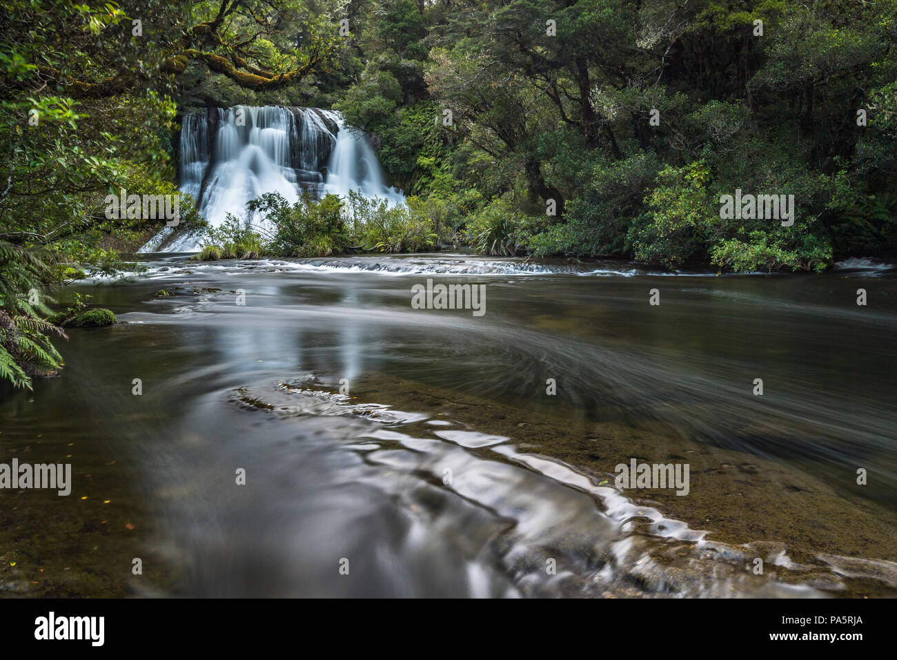 Aniwaniwa cade, Cascata nella foresta pluviale, Te Urewera National Park, North Island, Nuova Zelanda Foto Stock