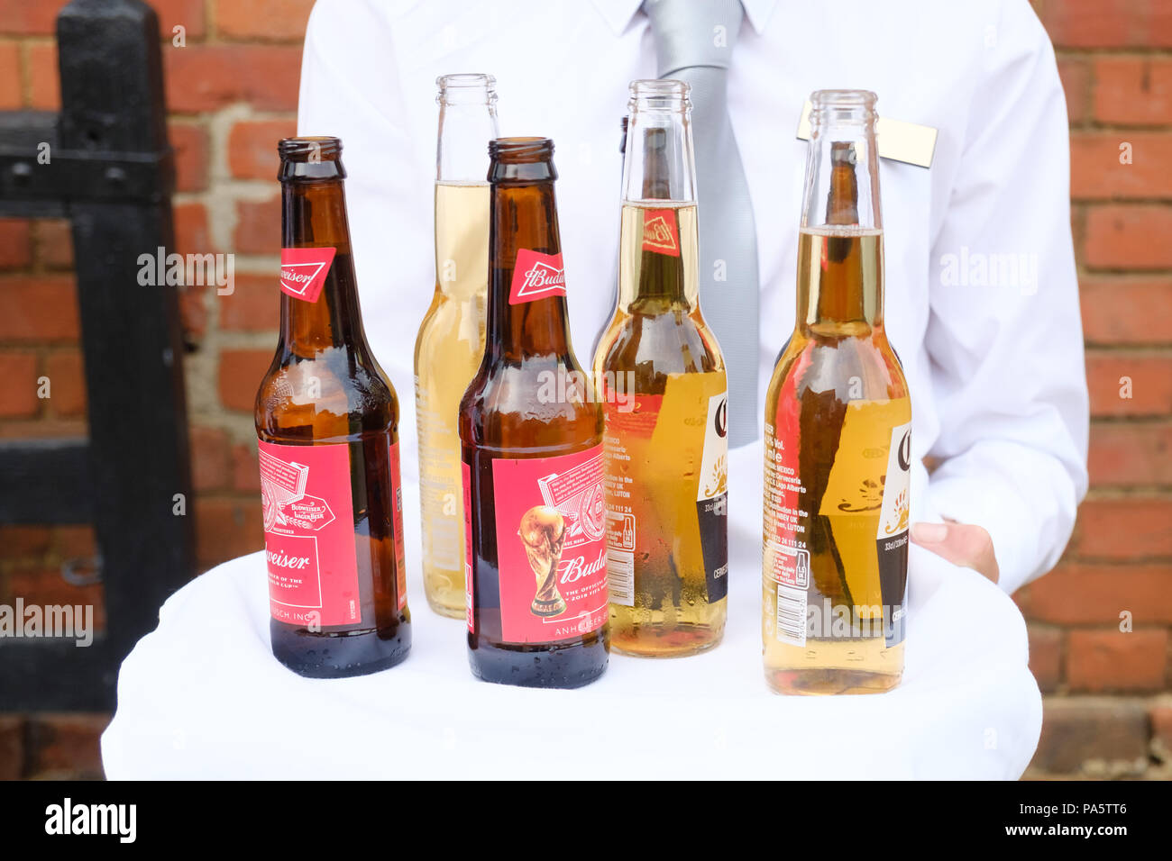 Champers con Strawbs Foto Stock