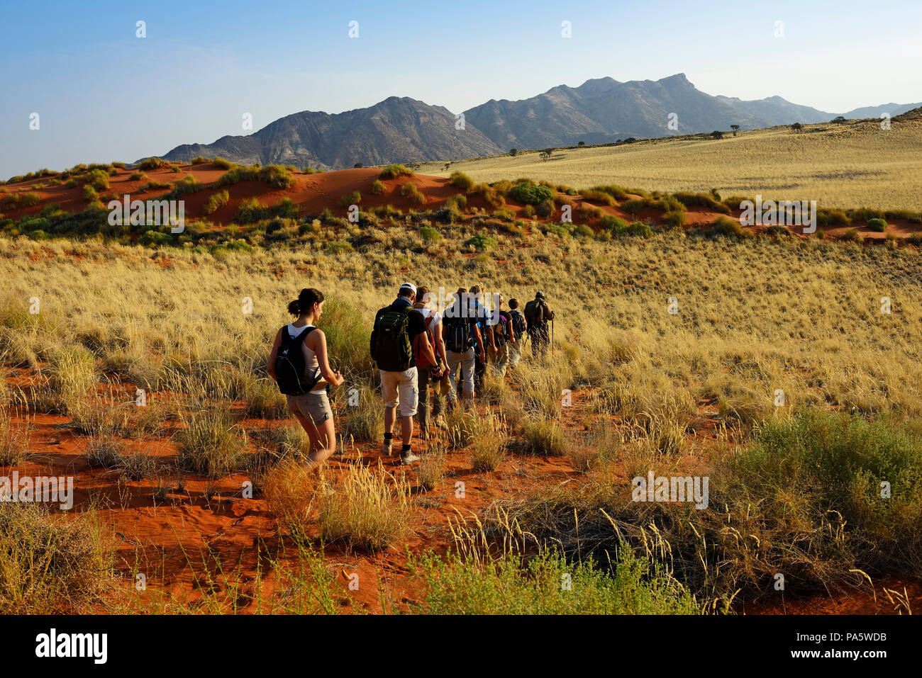 Gli escursionisti, escursione sul Tok Tokie Trail, Namib Rand Riserva Naturale, Namib Naukluft Park, Namibia Foto Stock
