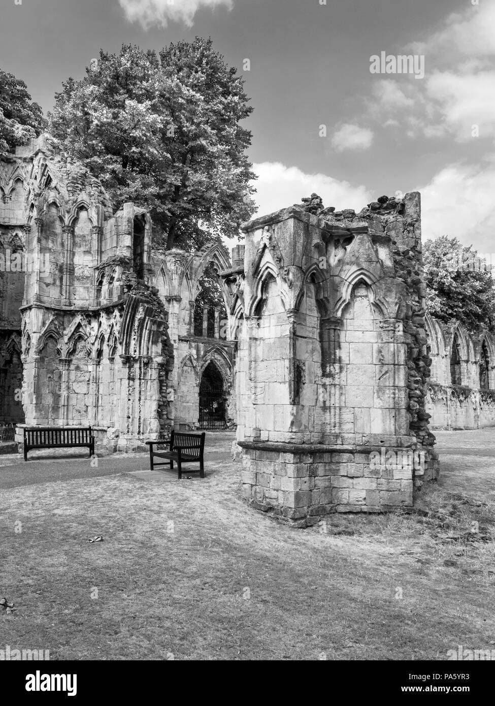 St Marys Abbey rovine nel Museo Giardini York Yorkshire Inghilterra Foto Stock