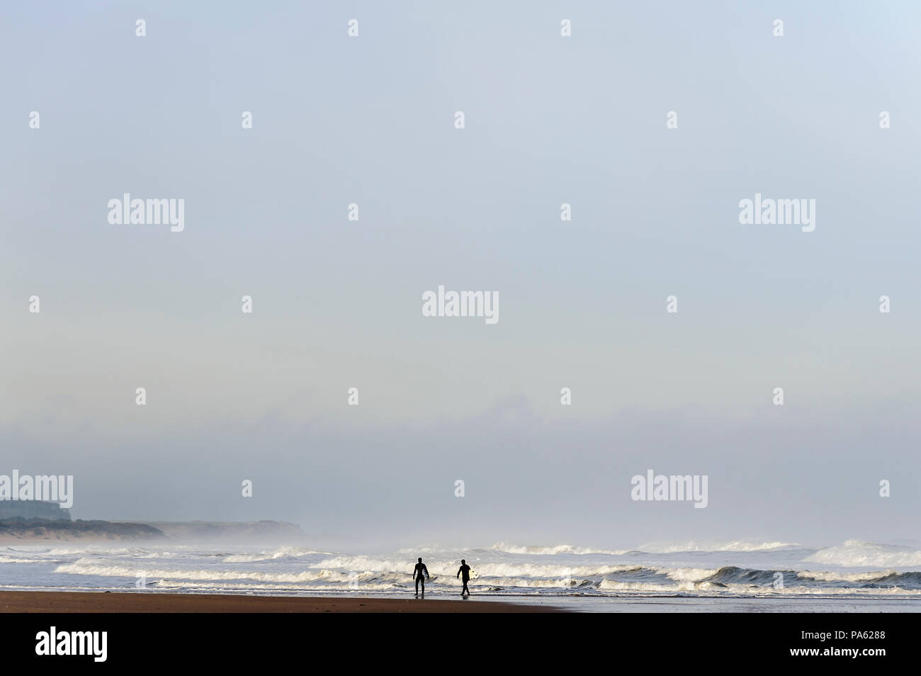 16-11-14 Tyninghame Beach, North Berwick, East Lothian, Scozia, Regno Unito, due surfisti in mute a piedi e ricerca di onde. Foto: © Simon Grosset Foto Stock