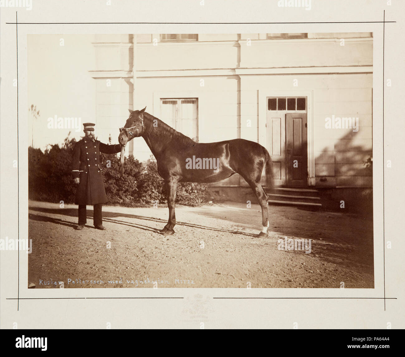 Inv.nr: LXIV:I:L.a.f.b.182. 86 fotografi häst av med kusk - Hallwylska museet - 105390 Foto Stock