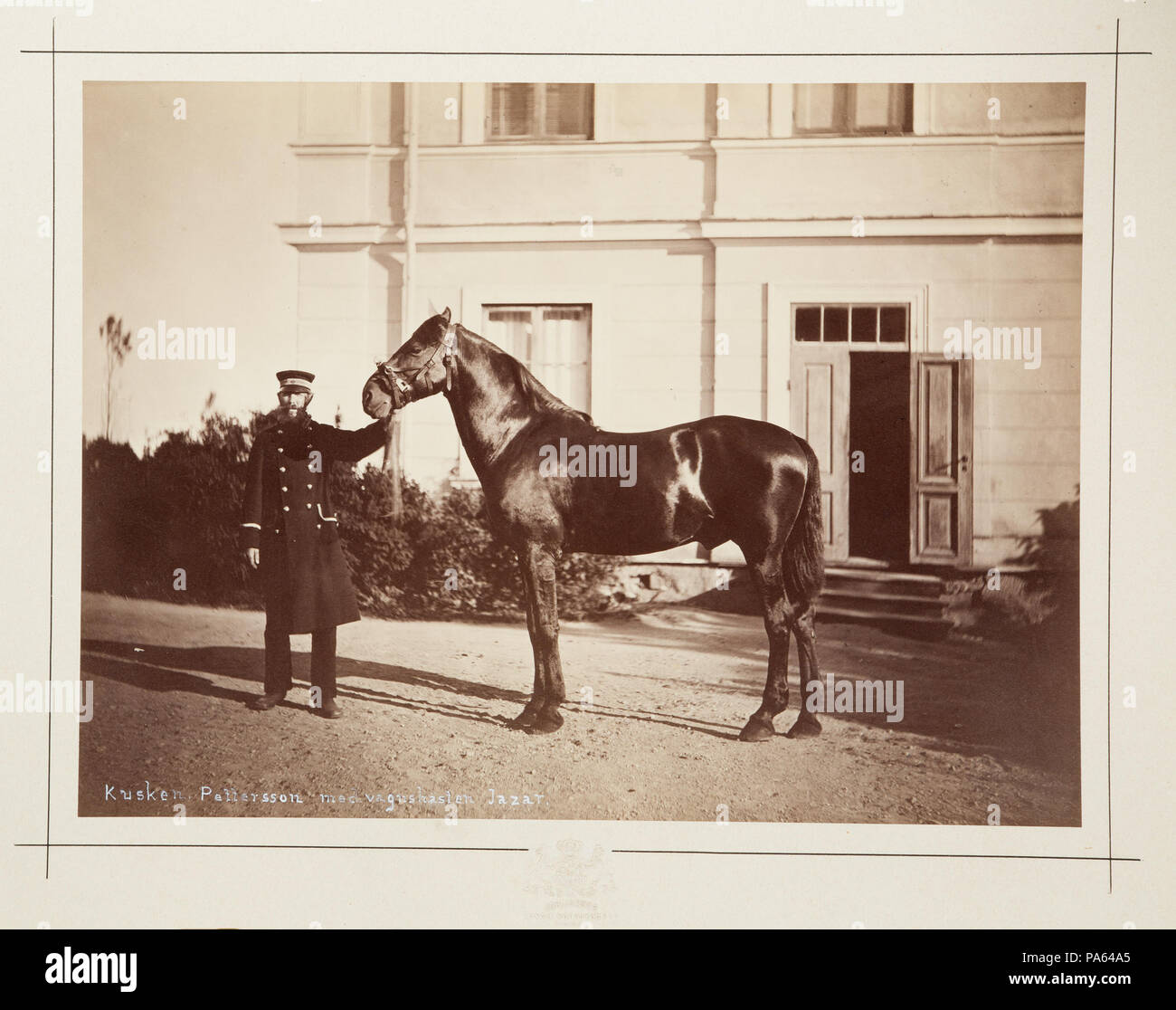 Inv.nr: LXIV:I:L.a.f.b.181. 86 fotografi häst av med kusk - Hallwylska museet - 105393 Foto Stock