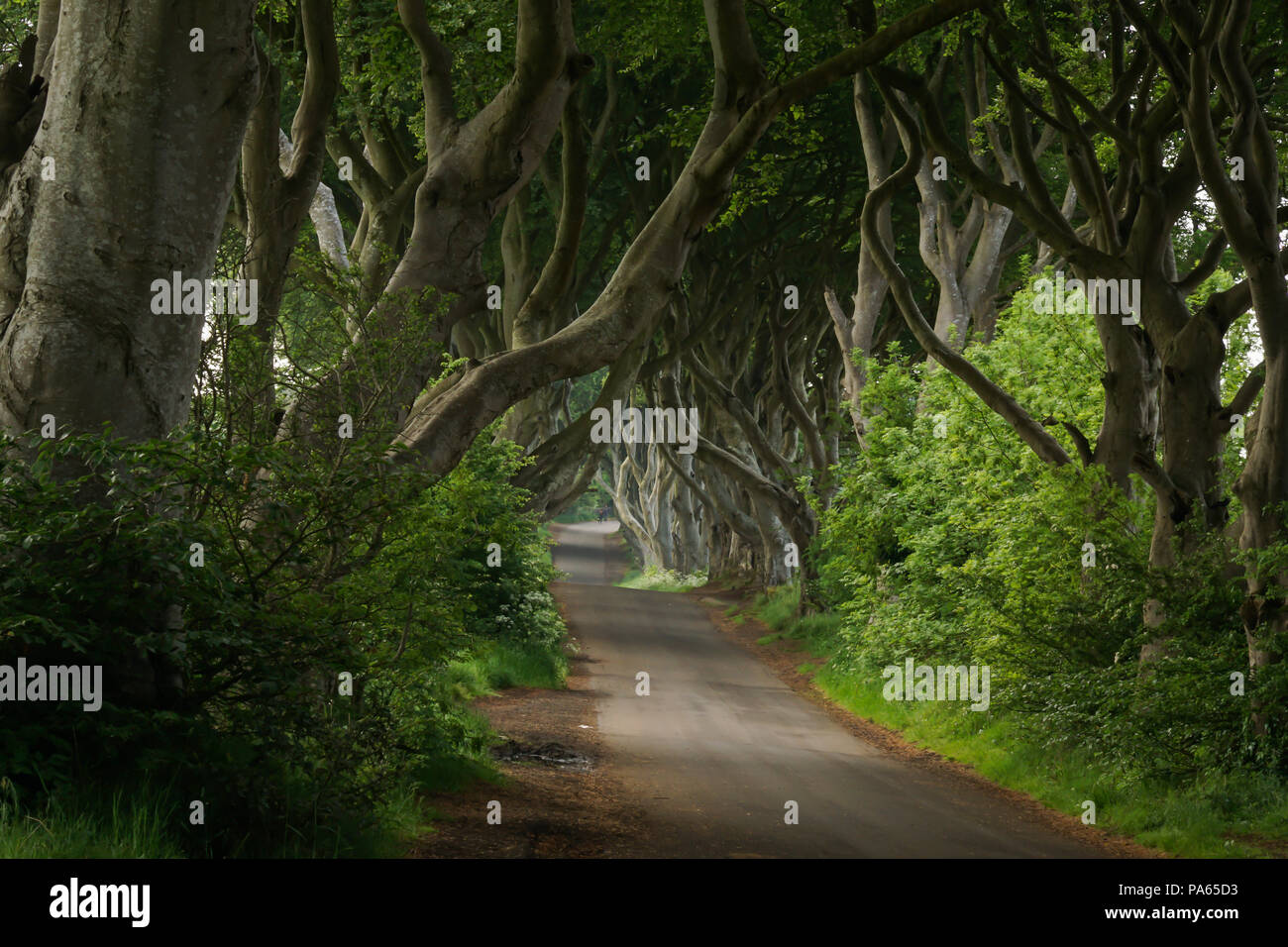 BT53 8PX i vicoli bui di Irlanda del Nord Foto Stock