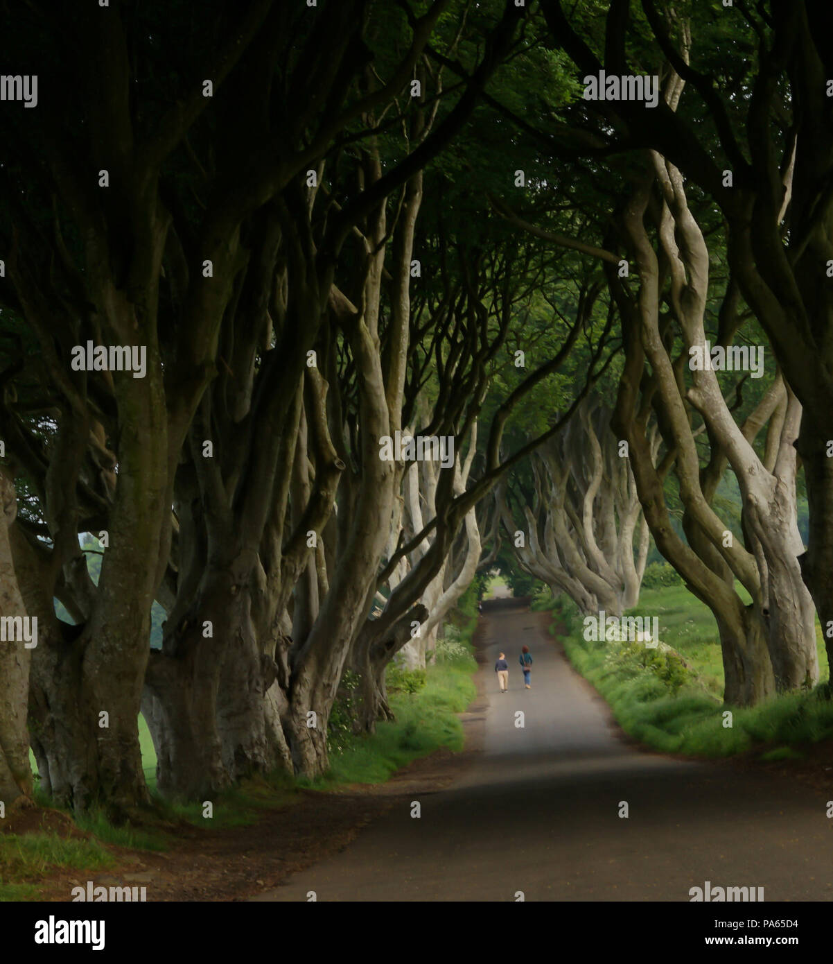 BT53 8PX i vicoli bui di Irlanda del Nord Foto Stock